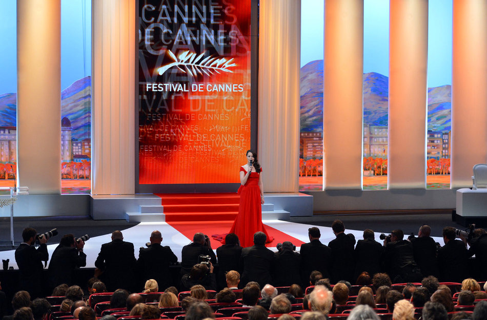 Distribution & Market cover image